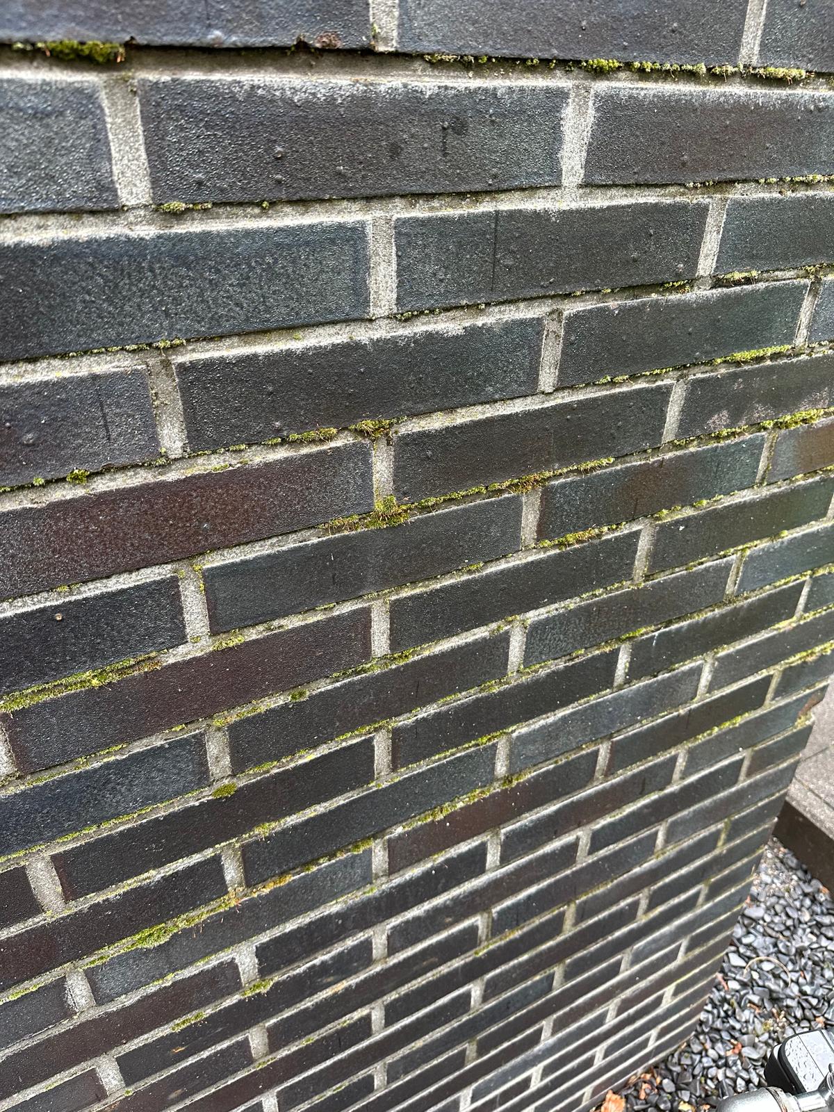 Nahaufnahme einer Mauer aus dunklen Ziegeln mit Moosbewuchs.